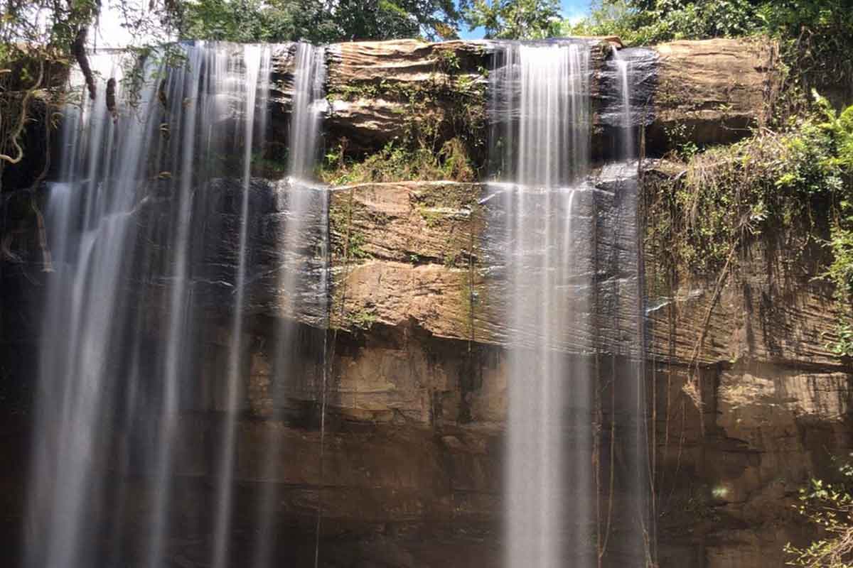 Shimba Hills and Sheldrick Falls