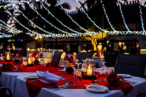 VR Presentation and conference